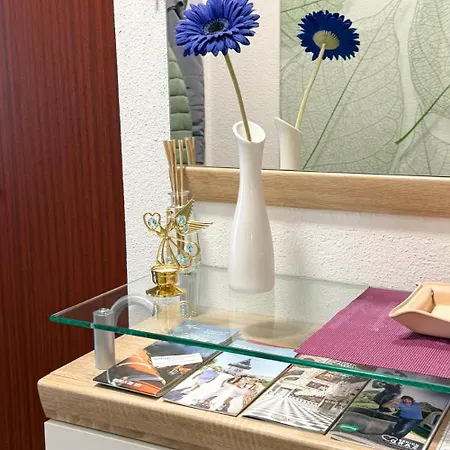 Komfortables Appartement/garconniere In Für Urlaub Und Geschäftsreisen Apartment Graz
