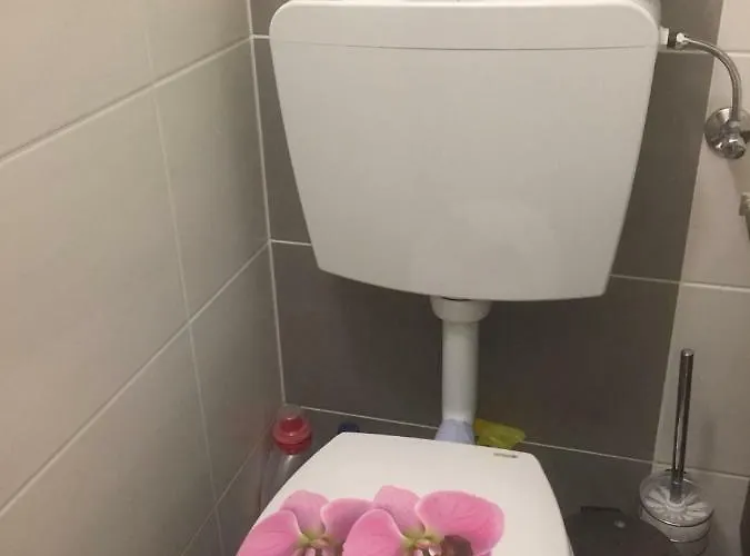 Komfortables Appartement/garconniere In Fuer Urlaub Und Geschaeftsreisen شقة