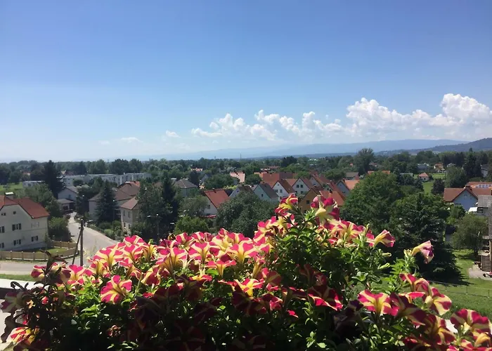 Komfortables Appartement/garconniere In Für Urlaub Und Geschäftsreisen